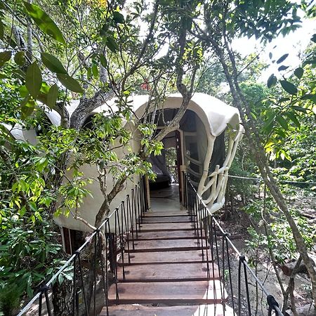 Ikalar Hotel Akumal Luaran gambar